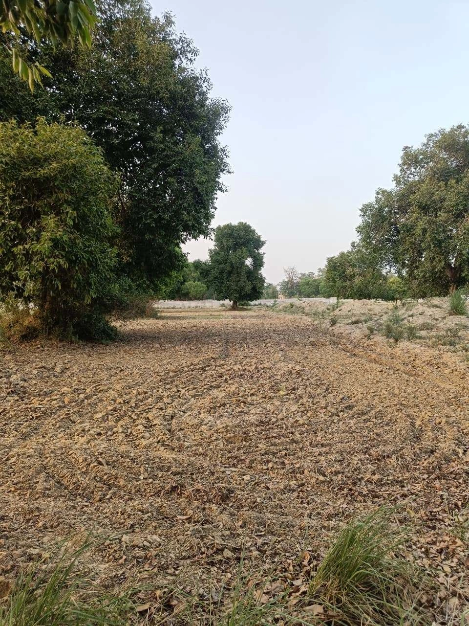Tentigaon, Uttar Pradesh, India