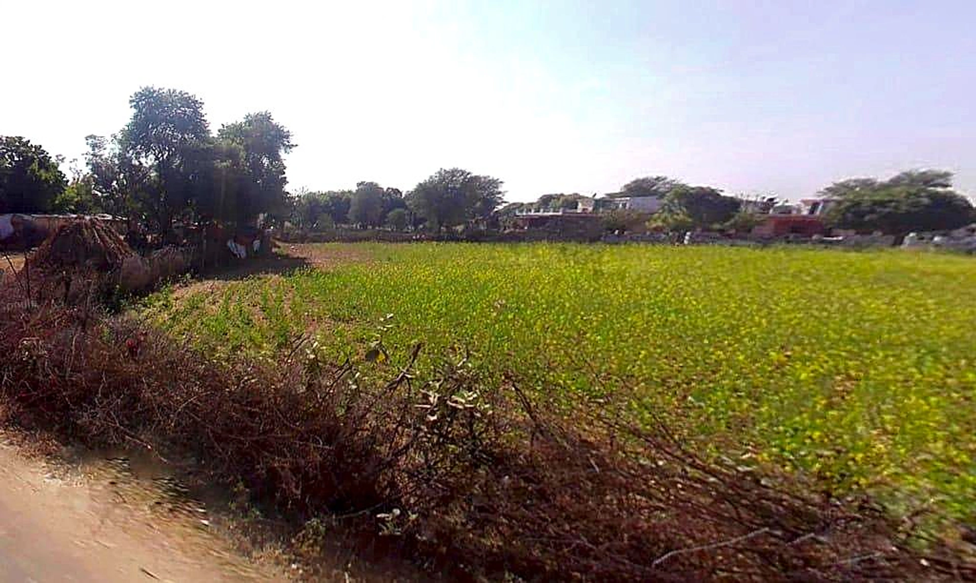 Adarsh Nagar, Jaipur, Rajasthan, India