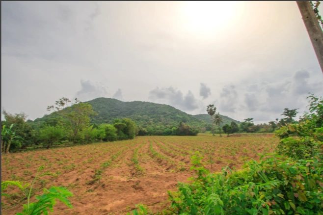Latifpur Khubban Pur, Uttarakhand, India