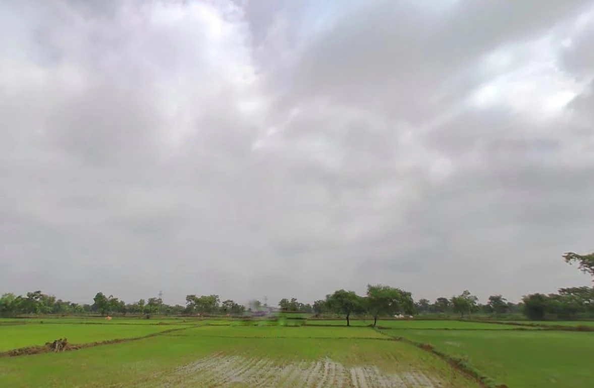 Rajim, Chhattisgarh 493885, India