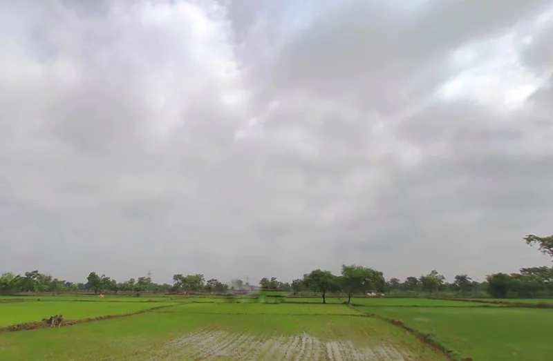 Rajim, Chhattisgarh 493885, India preview 3