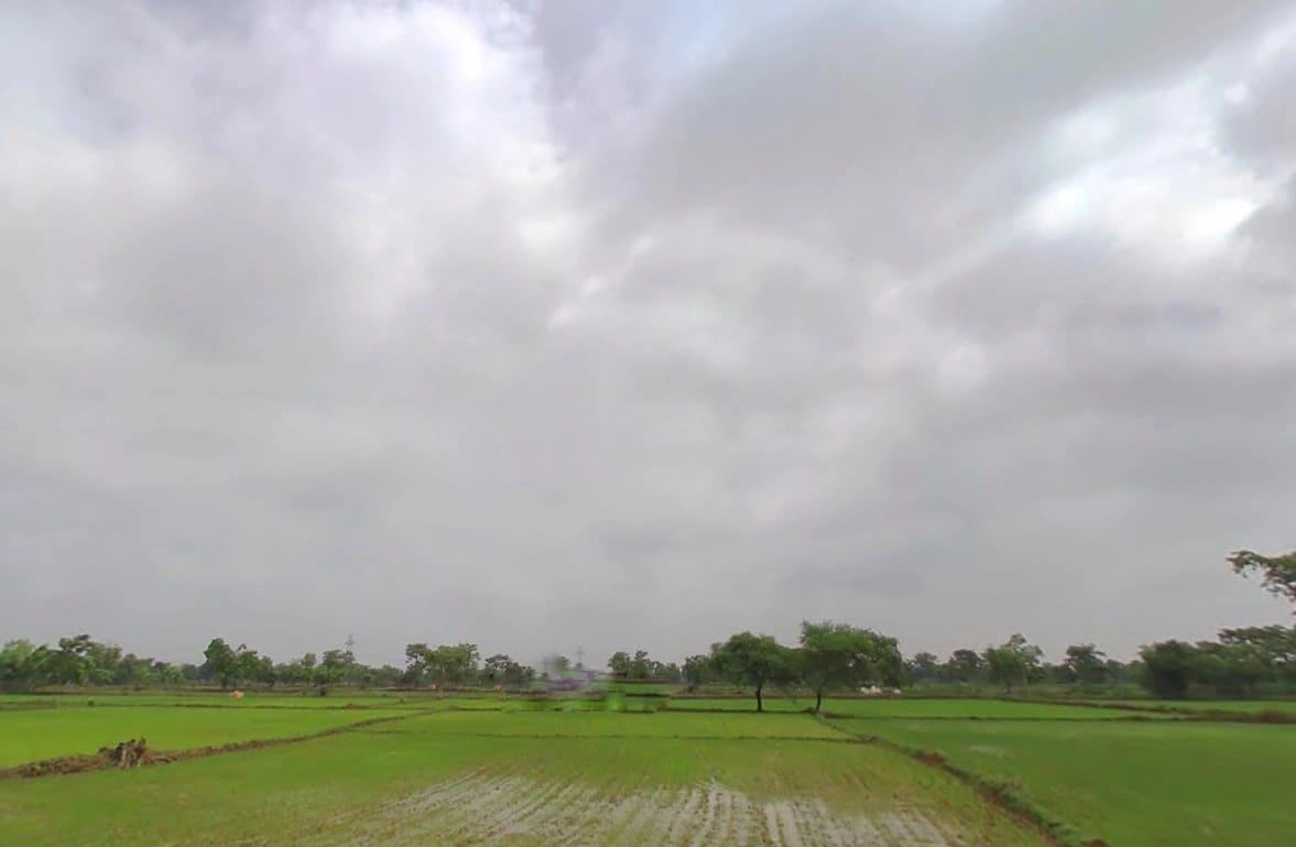 Rajim, Chhattisgarh 493885, India