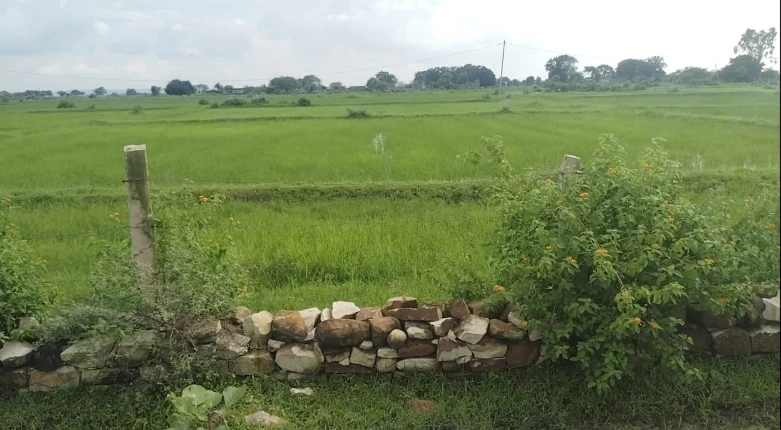 Sarai, Madhya Pradesh, India