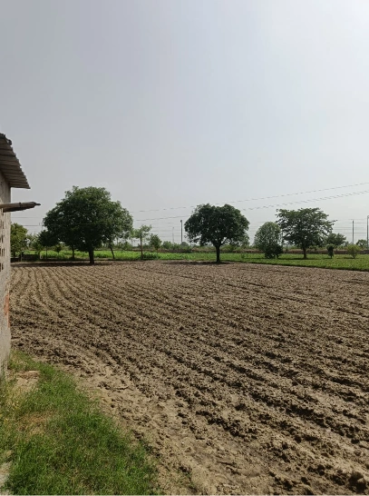 393M+P6 Barnagar, Ujjain, Madhya Pradesh, India