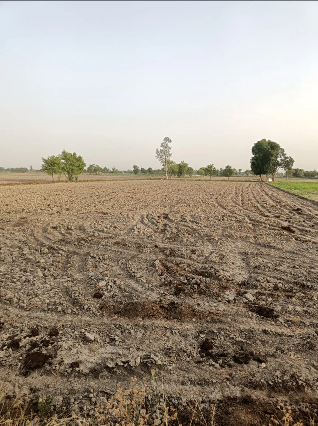 Ramgarh, Haryana 121107, India