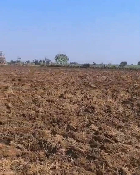 Bijapuri, Anuppur, Madhya Pradesh, India - Photo 2