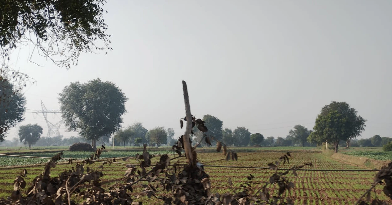 Dhapewada, Kalmeshwar, Maharashtra 441501, India