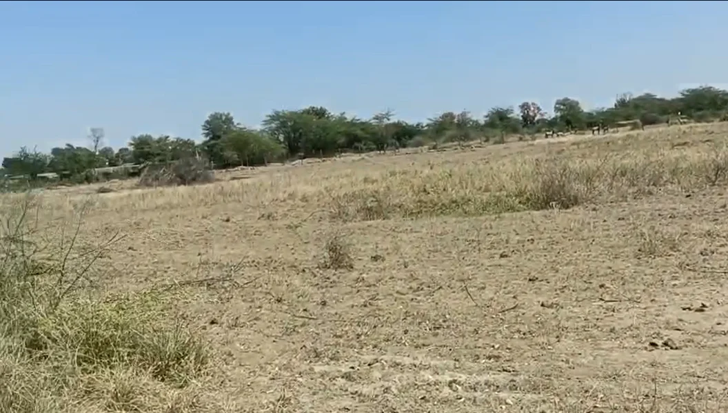 J568+8F Menpuriya, Rajasthan, India preview 3