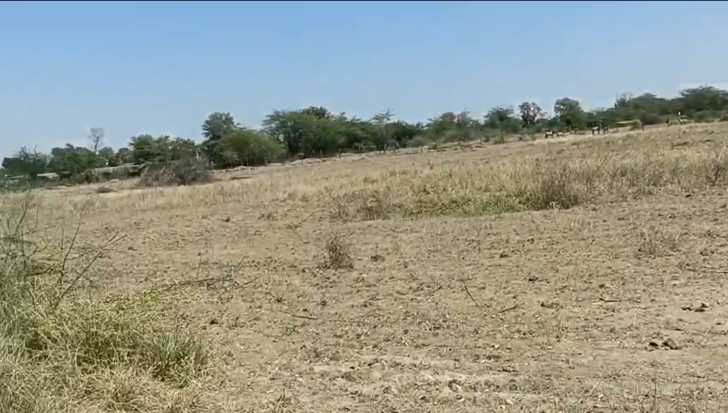 J568+8F Menpuriya, Rajasthan, India