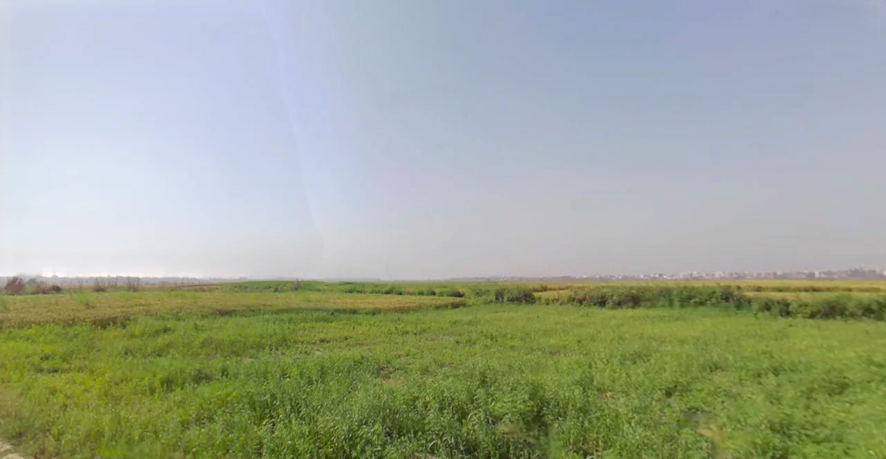 Patwapur, Haryana 124411, India preview 2