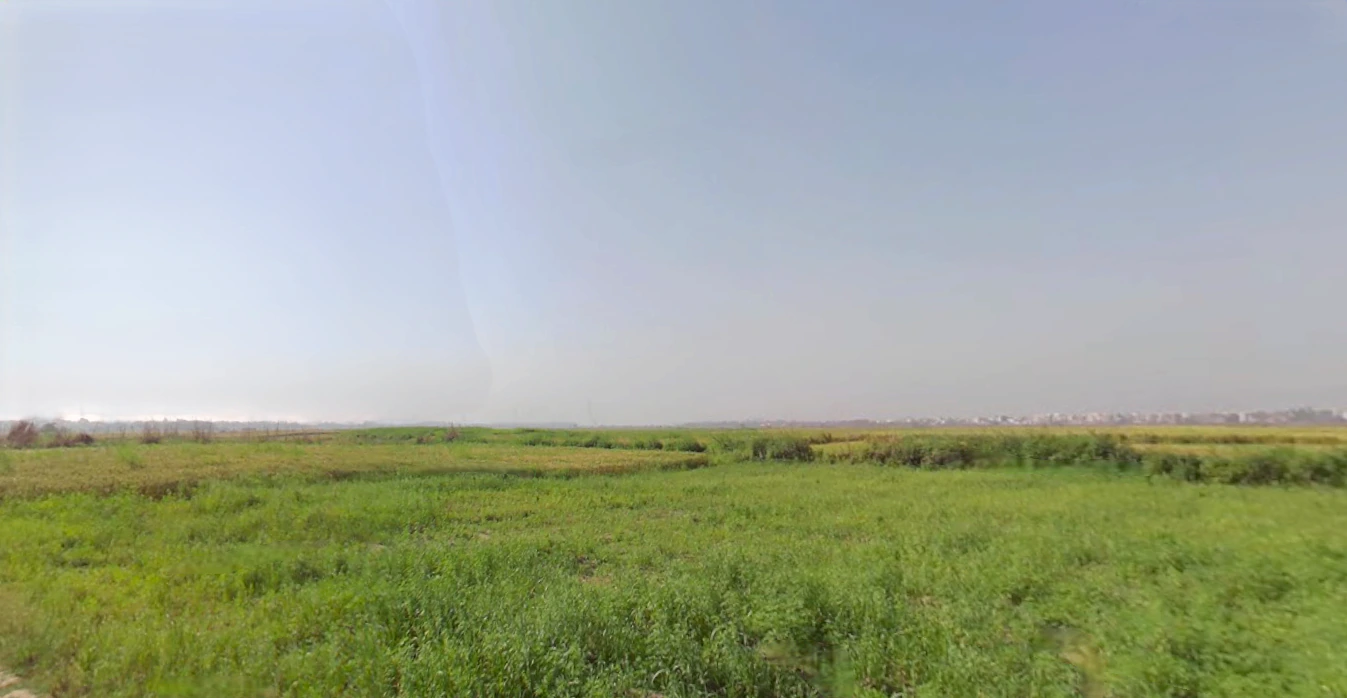 Patwapur, Haryana 124411, India