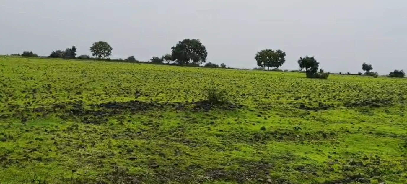 3J97+HF Karsgutti, Sangareddy, Telangana, India
