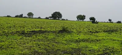 3J97+HF Karsgutti, Sangareddy, Telangana, India preview 2