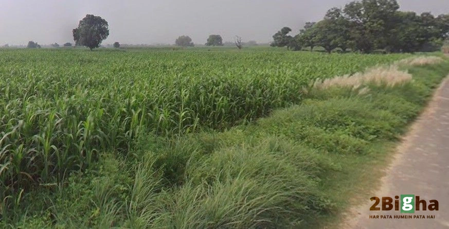 Kanpur - Allahabad Hwy, Maharajpur, Uttar Pradesh, India
