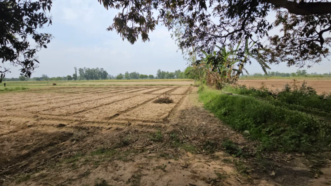 Raipur Rani, Haryana 134204, India