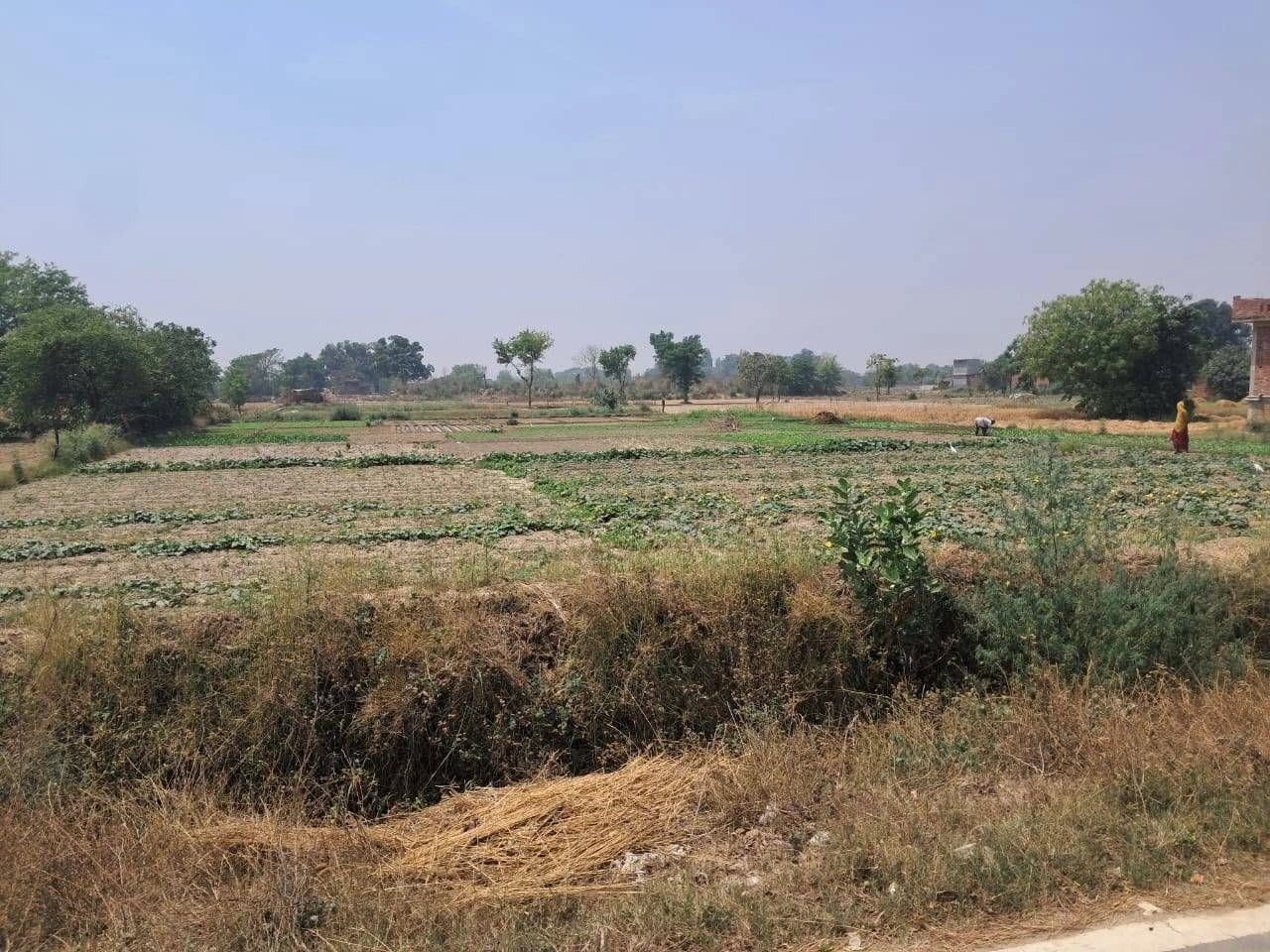 G4QG+GWR, Dharampuri, Rajasthan, India