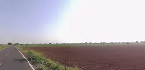 H797+QCC, Ishvariya, Gujarat 363530, India preview 3