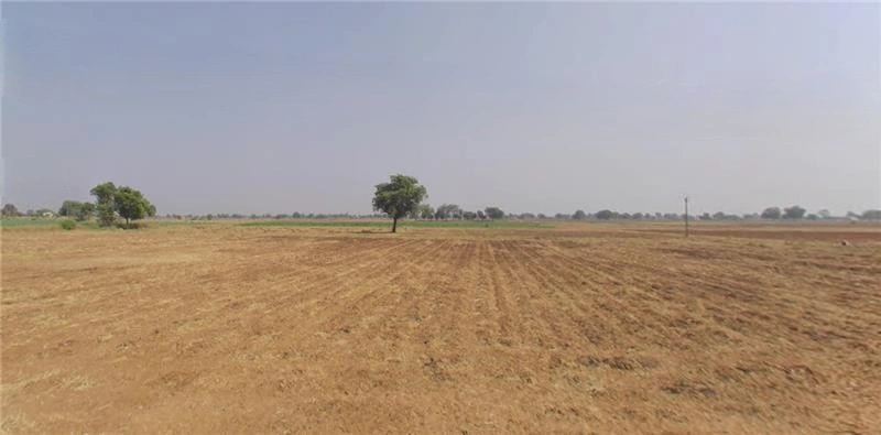 5CWJ+VR Ambalgadh, Gujarat, India