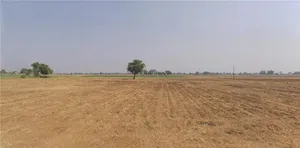 5CWJ+VR Ambalgadh, Gujarat, India preview 2
