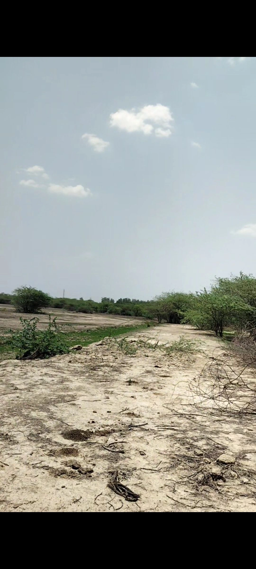 Sarsaul, Kanpur, Kanpur Nagar, Uttar Pradesh, India preview 3