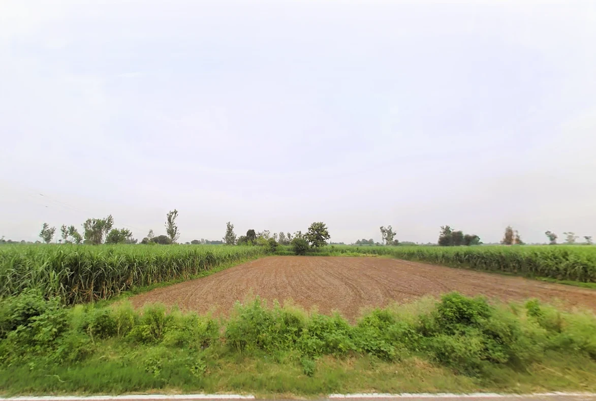 Sonta, Alawalpur, Uttar Pradesh, India preview 3