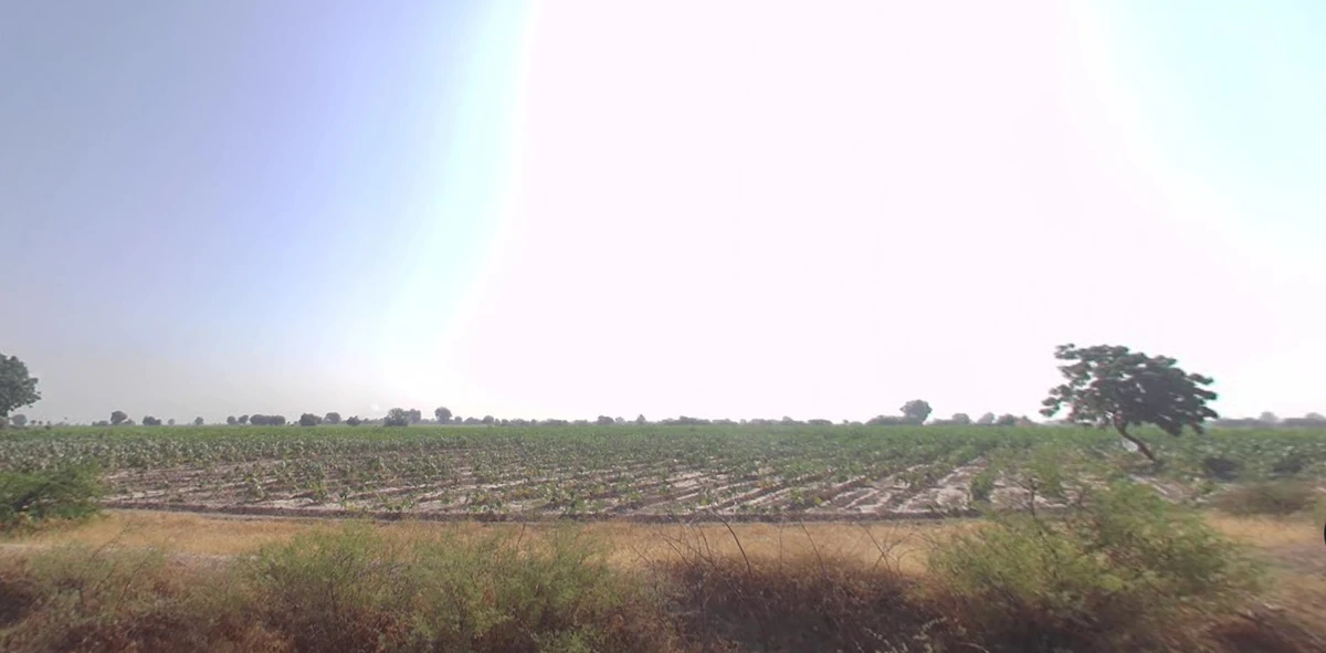 4W6V+6J Goraiya, Gujarat, India