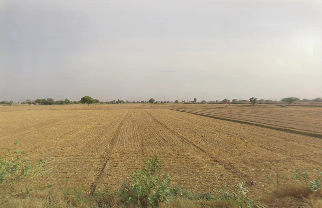 Guraora, Haryana 123035, India
