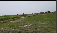 QJM5+HJ8, Mathura, Shergarh, Shergarh Khadar, Uttar Pradesh 281404, India