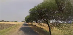 Khatoo, Rajasthan 332602, India preview 2