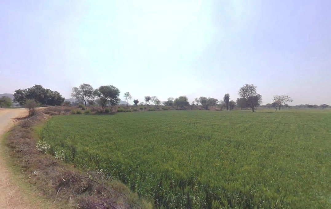 Bahadurpur, Rajasthan 301409, India preview 3