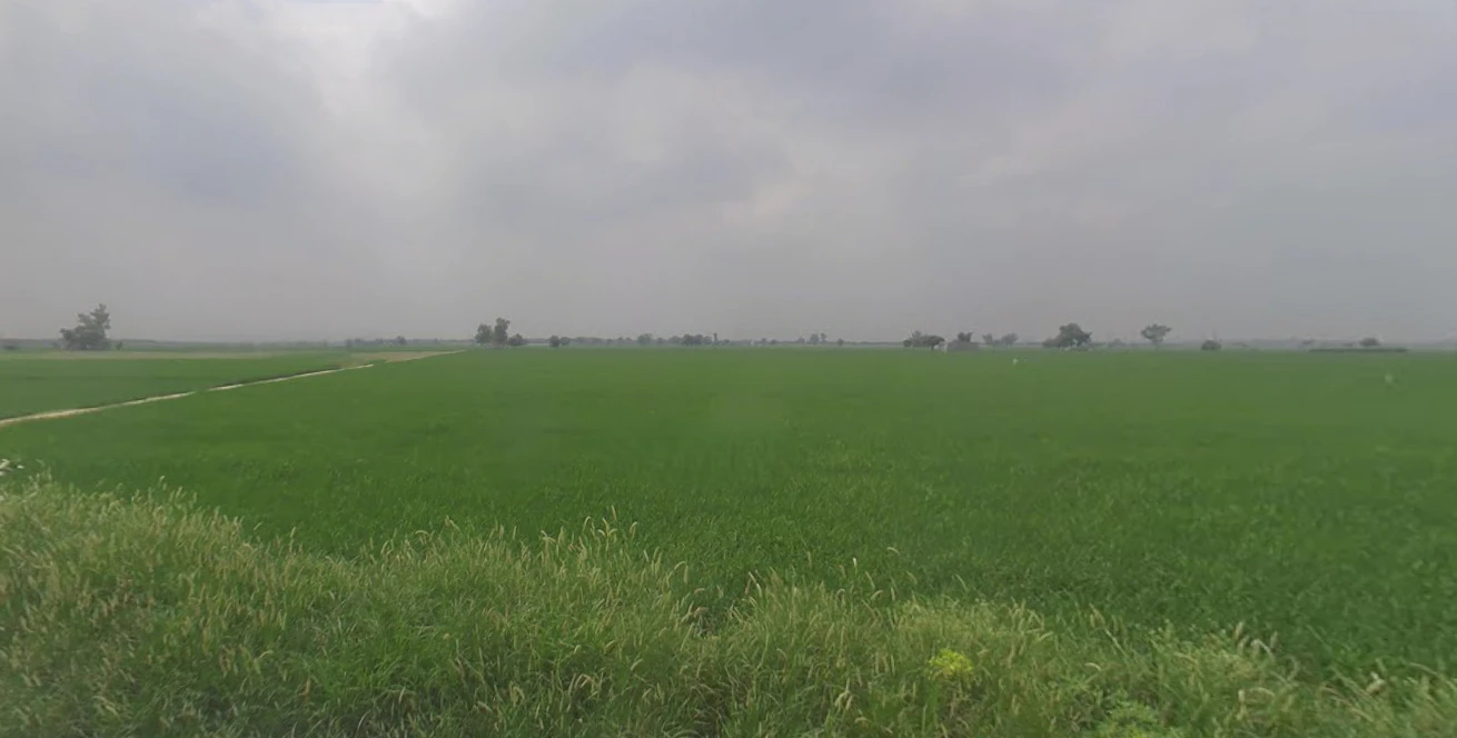 Shri Hargobindpur, Punjab 143515, India