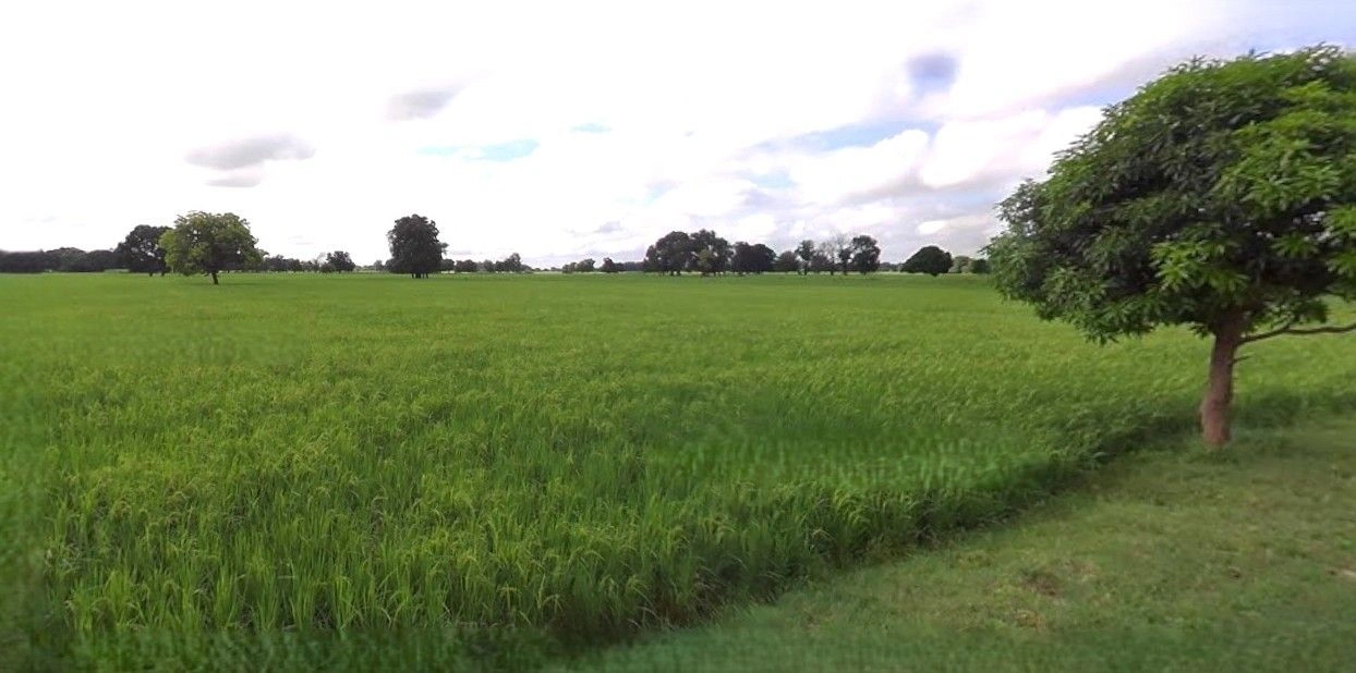 Haidargarh, Uttar Pradesh 225124, India