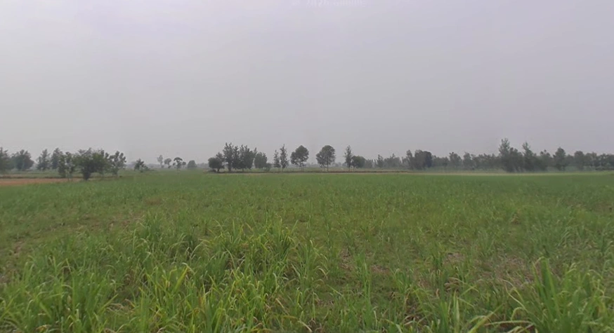 Hasanpur, Uttar Pradesh 244241, India