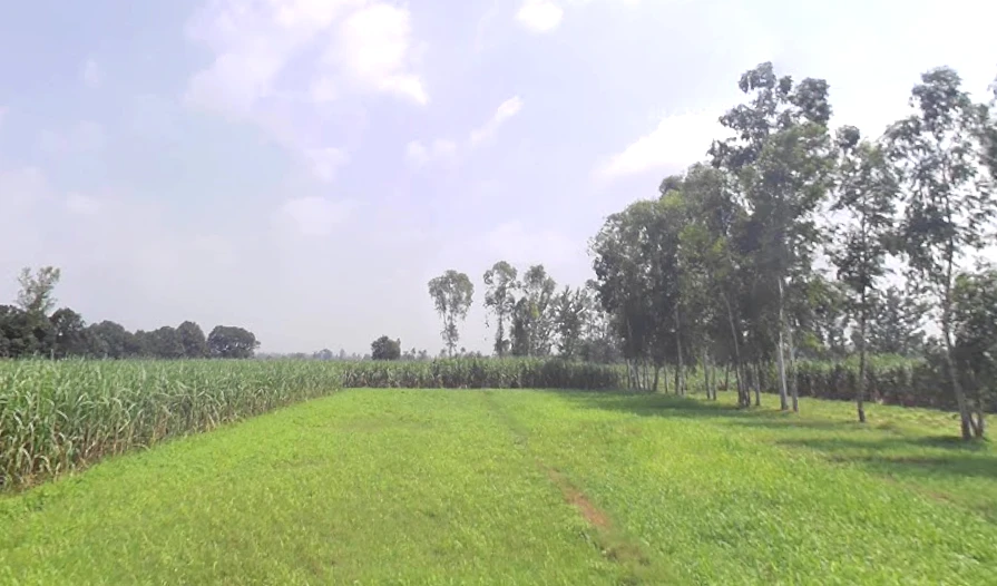 Behsuma, Uttar Pradesh 250401, India