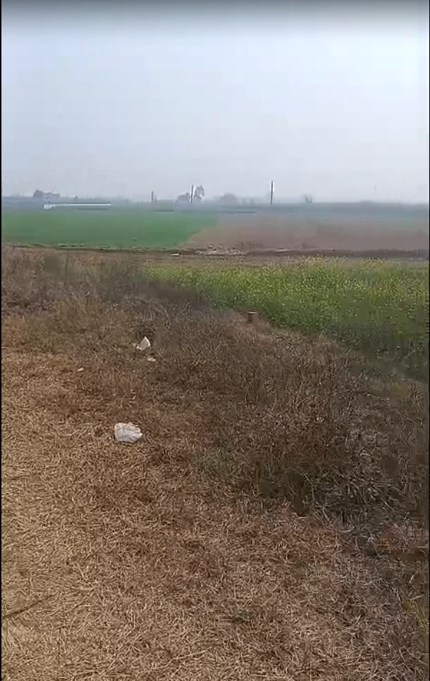 Madhapur Mozampur, Uttar Pradesh 245207, India