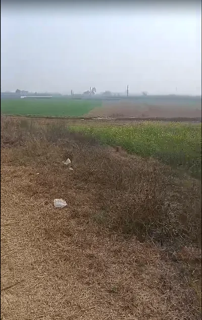 Madhapur Mozampur, Uttar Pradesh 245207, India preview 2