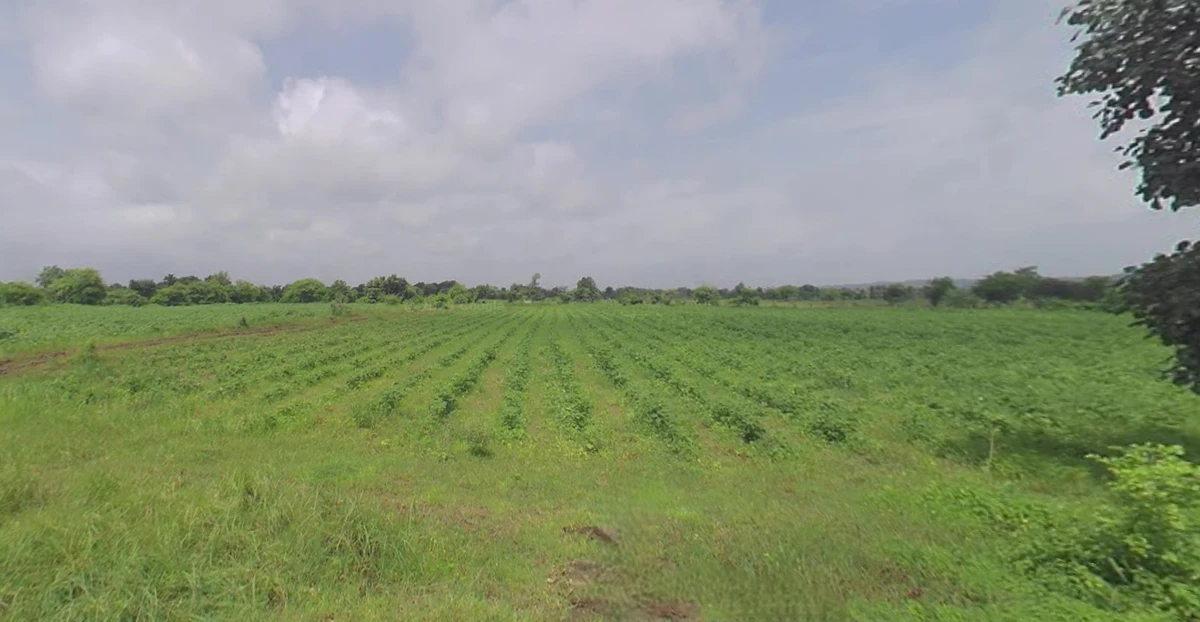 Ankhol, Gujarat 390019, India