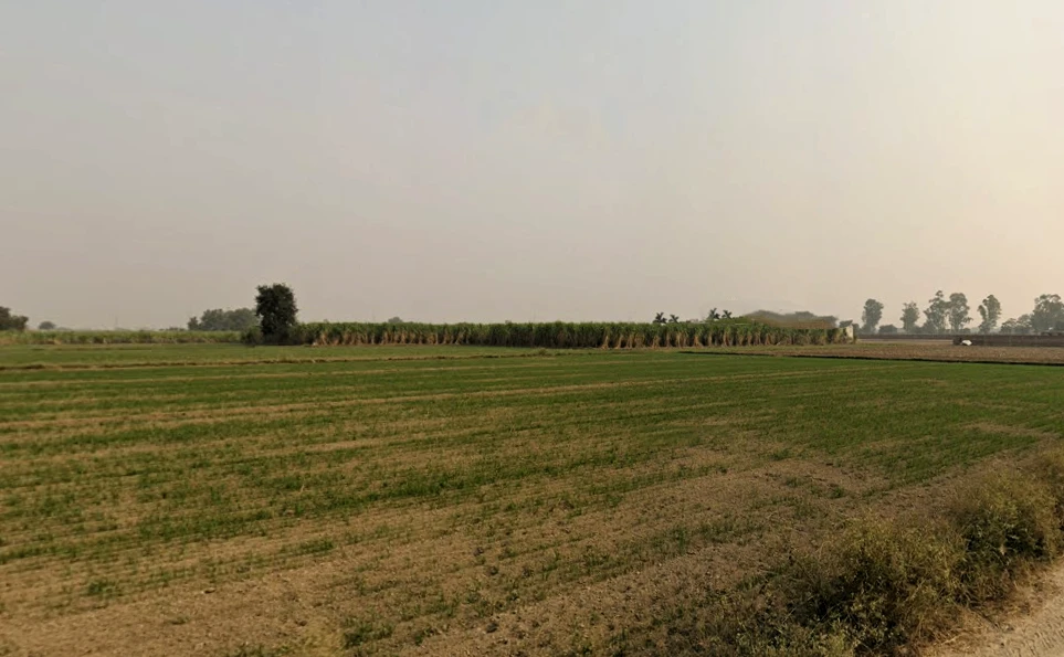 SunderPur, Haryana 126116, India