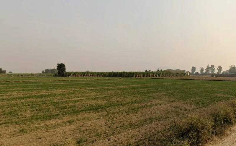 SunderPur, Haryana 126116, India preview 3