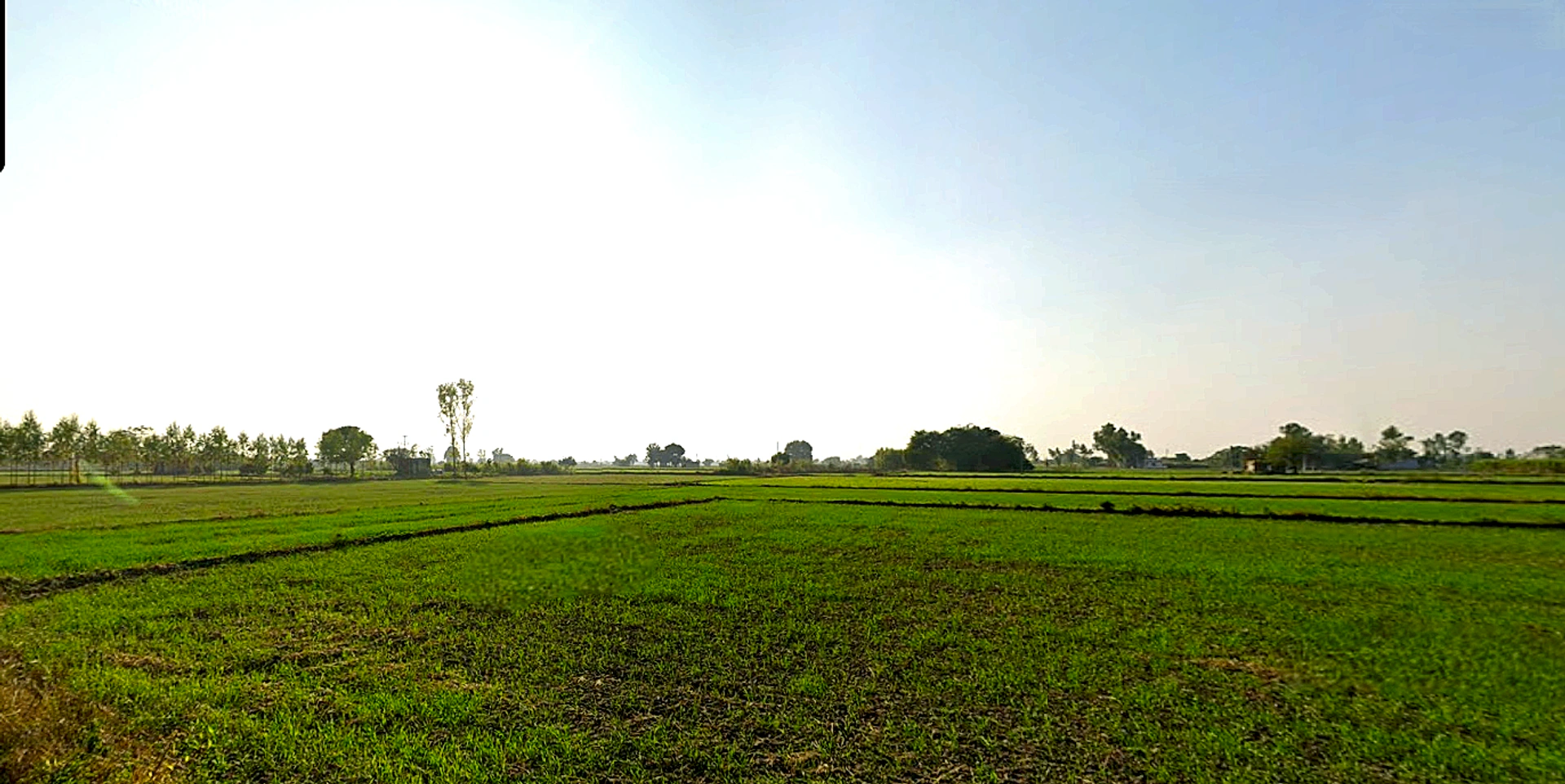 Pharala, Punjab 144503, India