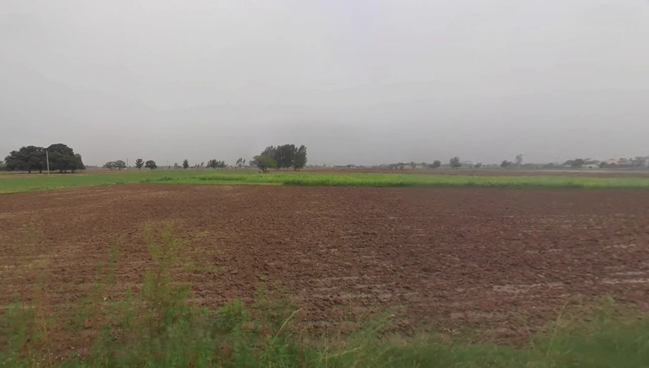 Nakodar, Punjab 144040, India preview 3