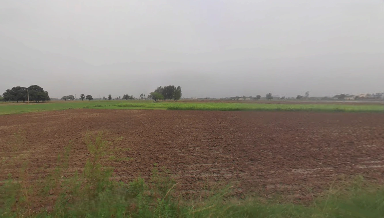 Nakodar, Punjab 144040, India