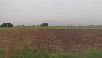 Nakodar, Punjab 144040, India preview 3