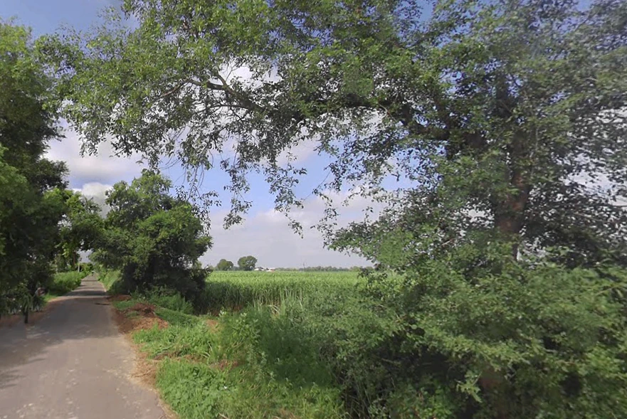 Salempur, Uttar Pradesh 203001, India