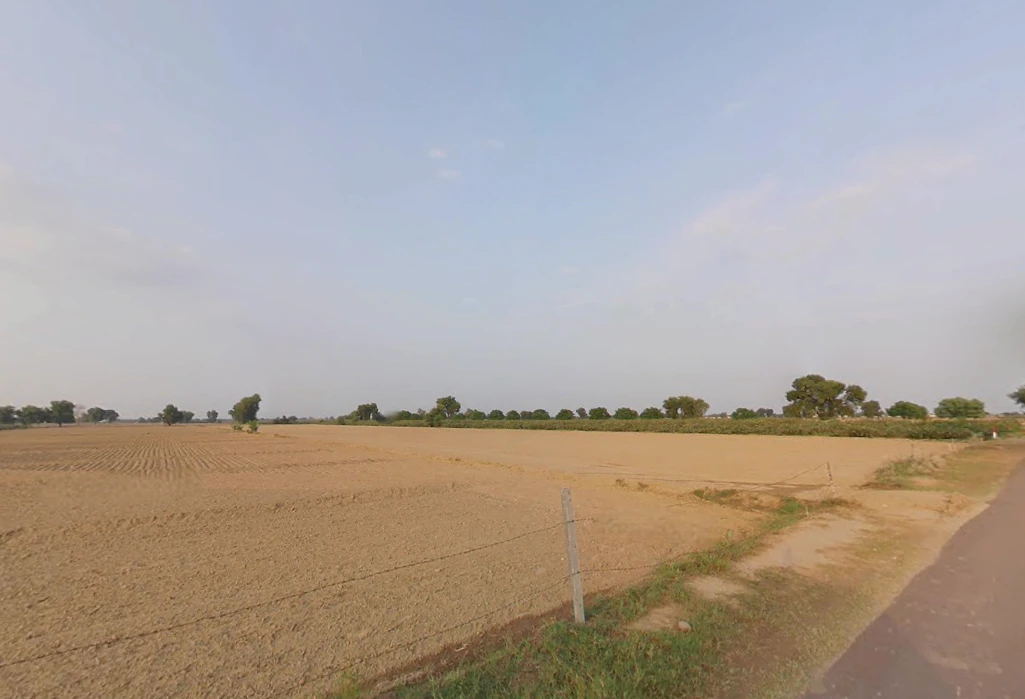 Kaluana, Haryana 125103, India