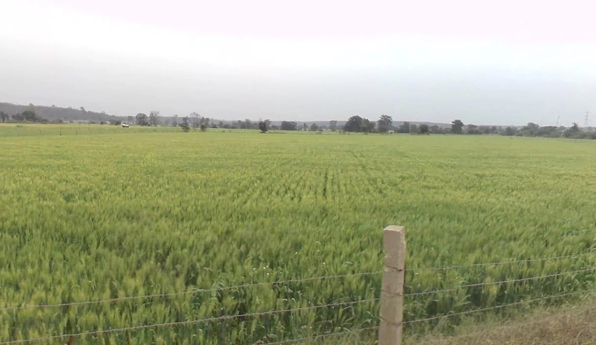 Neemkheda, Madhya Pradesh 482021, India