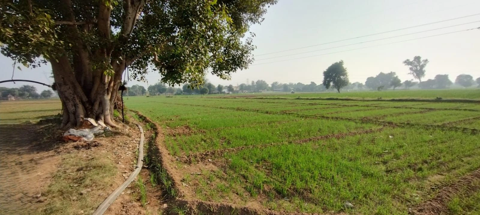 Bansur, Rajasthan, India preview 3