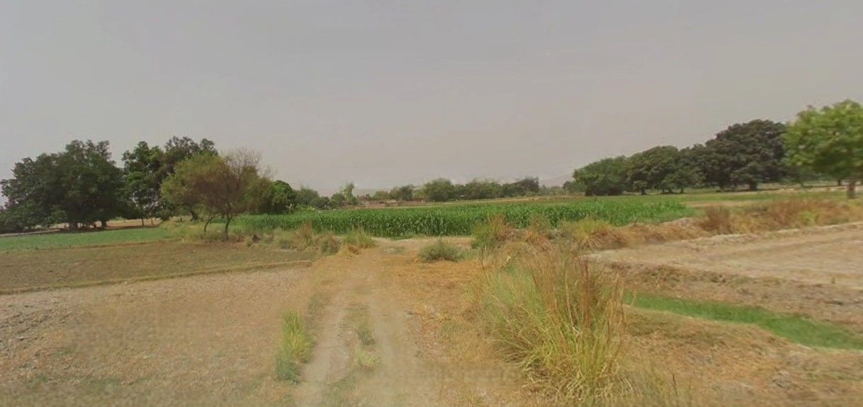 3W2Q+Q7X, Mazahidpur Satiwala Mazbata, Uttarakhand 247661, India