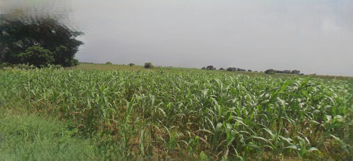 Sri Ganganagar, Rajasthan, India