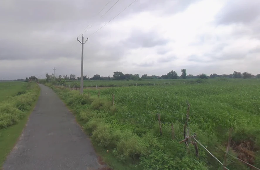 Nawabganj, Uttar Pradesh 271303, India